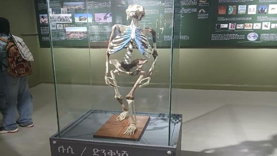 Addis Ababa: National Museum Guided Tour with Lucy Fossil