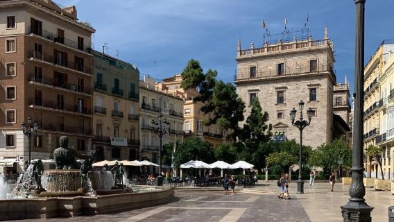From Albir, Benidorm & Calpe: Valencia City Day Trip