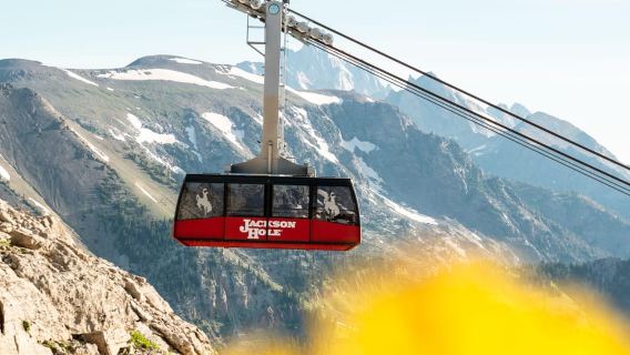 Jackson Hole: Aerial Tram and Gondolas Sightseeing