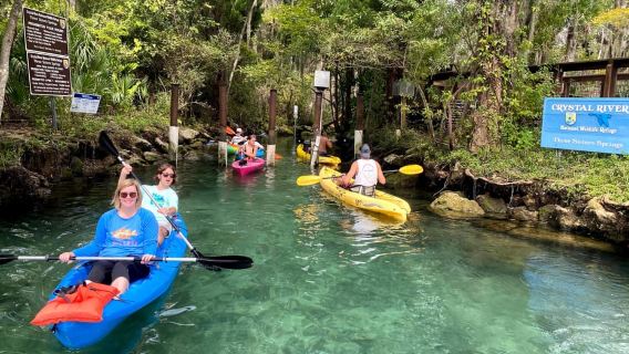 Crystal River:Three Sisters Springs Guided Kayak & Swim Tour