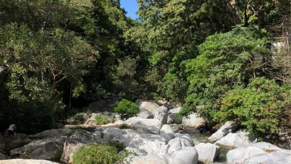 Santa Marta: Trekking in Minca Complete Waterfall Circuit