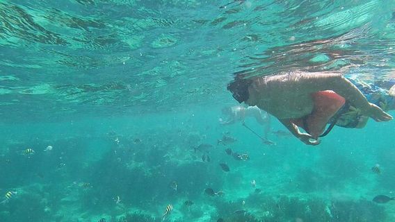 Isla MujeresExperiences