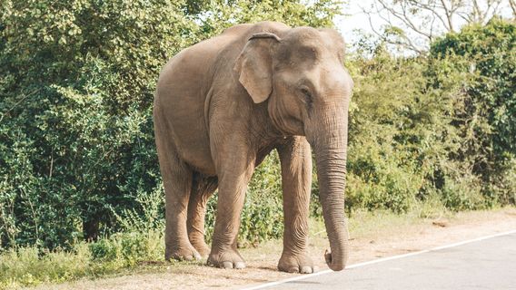 Hambantota