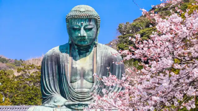 日本包車遊 東京/富士山/箱根/鐮倉/横濱/伊豆包車遊【華人司機 上門接送 可私人訂制行程 打卡網紅景點 假期】
