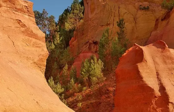 阿維尼翁教皇新堡+呂貝宏一日遊【城堡遺址/魯西永赭石景觀】