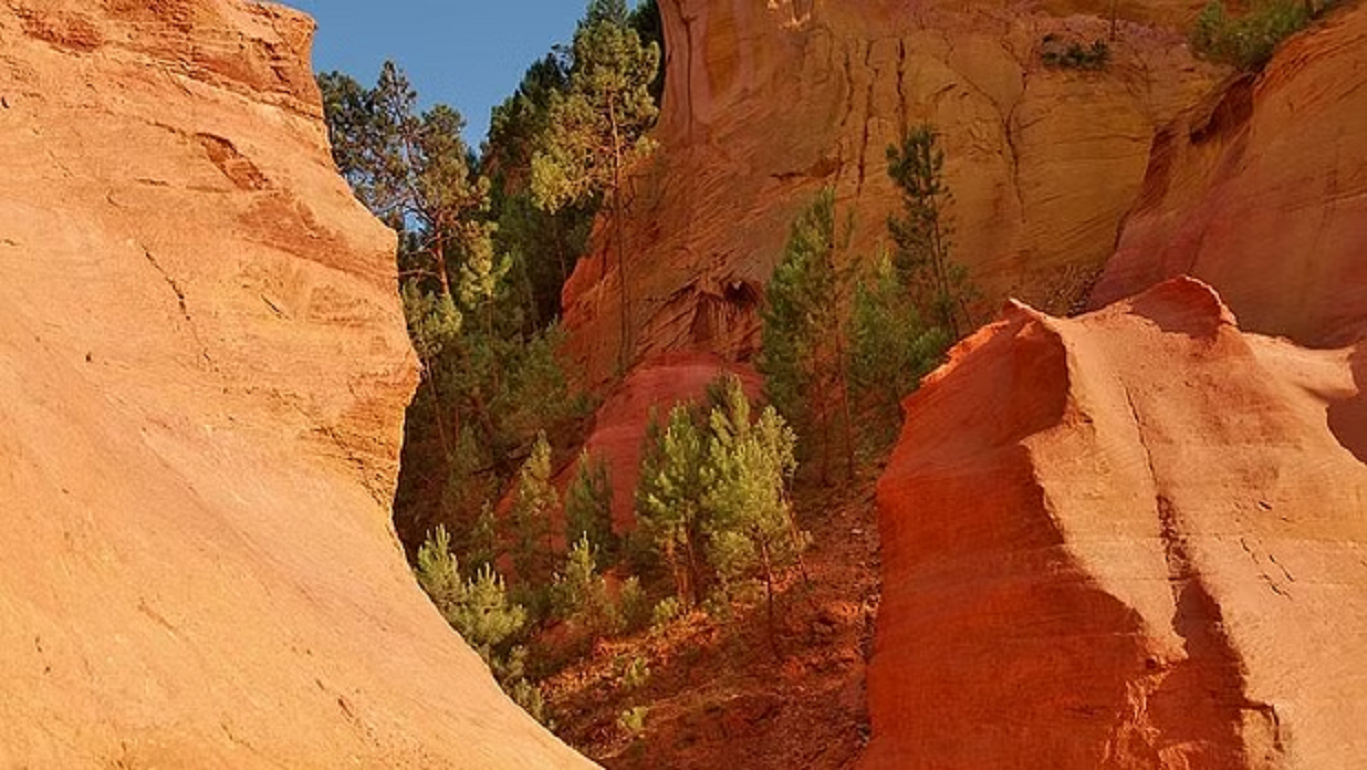 Avignon Chateauneuf-du-Pape + Luberon 1-day tour [Castle ruins/Roussillon ochre landscapes]