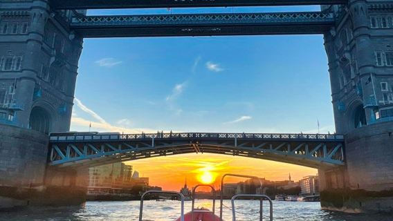 Thames Rockets: Speedboat Experience by Night