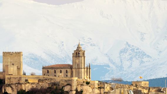 Fortress of La Mota: Fast Track Ticket