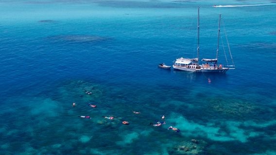 ウォーキング、セーリング、シュノーケリング：グレートバリアリーフとグリーン島ツアー