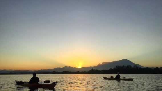 Trải nghiệm chèo thuyền kayak có hướng dẫn trong rừng ngập mặn, tour nửa ngày kèm đồ ăn nhẹ tại Tuaran|Sabah