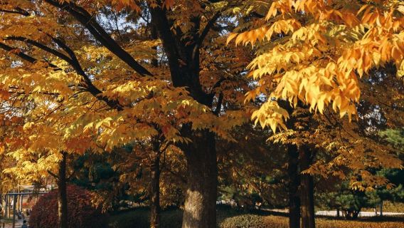 Pakistan Bahrain Trip Moments