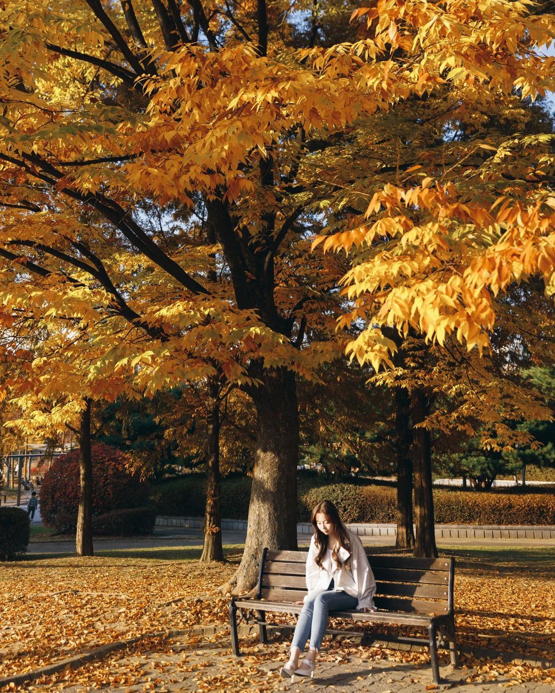 ปากีสถาน บาห์เรน ทริปถ่ายรูป[คนขับรถพร้อมไกด์ + ถ่ายภาพท่องเที่ยวและถ่ายภาพทางอากาศ + ถ่ายภาพแต่งงานและภาพยนตร์สั้น + แต่งหน้าและเสื้อผ้า + เหมารถแบบกำหนดเอง]