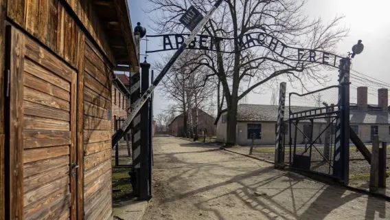 Auschwitz-Birkenau: Guided Tour + Transport