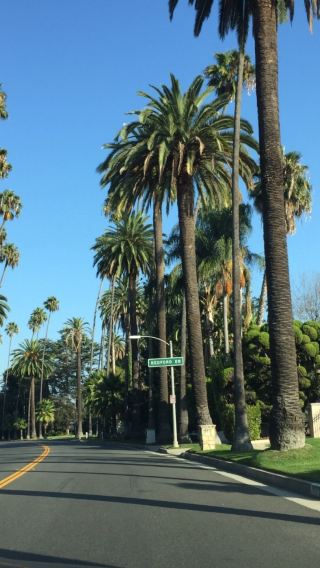 Los angeles join-in 1-day tour - Santa Monica pier, walk of fame and Griffith observatory [English-speaking group]