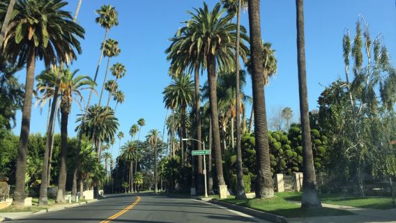 Los angeles join-in 1-day tour - Santa Monica pier, walk of fame and Griffith observatory [English-speaking group]