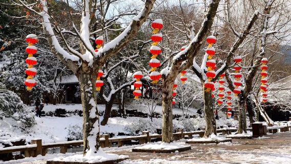 浙江寧波一日遊包車遊/蔣氏故居+天一閣博物館+溪口-滕頭景區
