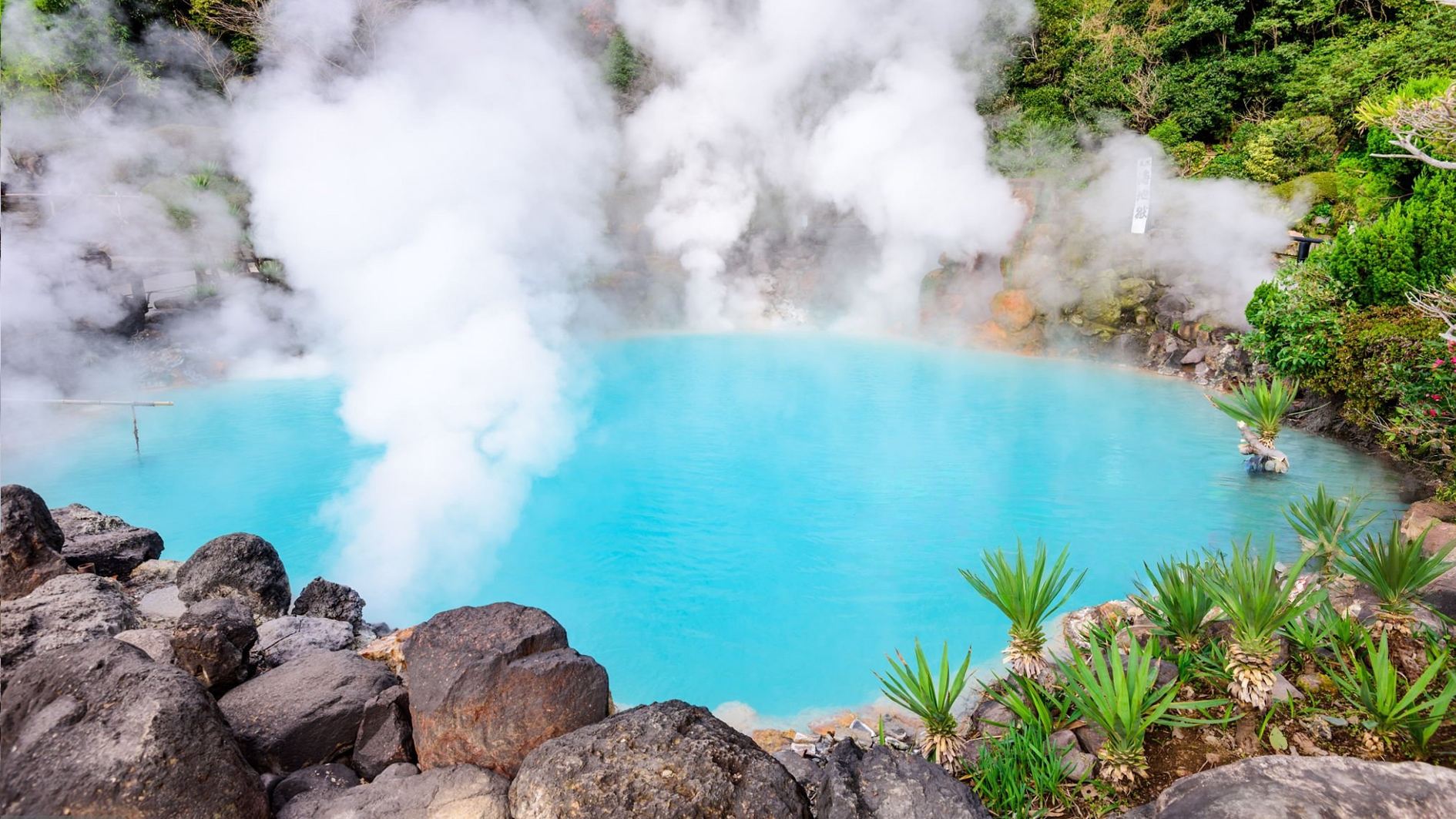 Beppu Hell Hot Springs × Yufuin Fairy Tale Town one-day tour | Nyoirinji Temple + Kinrin Lake | Departing from Fukuoka