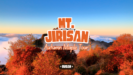 JeonjuTours