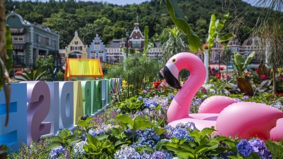 首爾出發:愛寶樂園門票+來回交通+熊貓快速通行