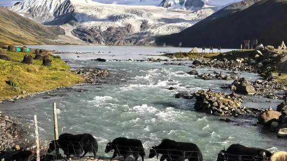 Nyingchi noleggio con conducente esclusivo guida locale interprete accompagnatore trasferimento turismo fiere viaggi d'affari accompagnamento medico