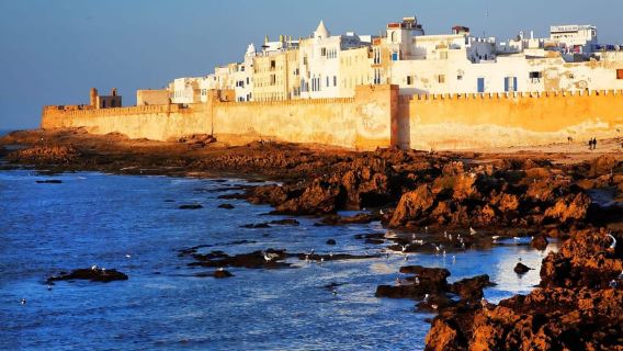 Perjalanan Sehari Penuh ke Essaouira dari Marrakech
