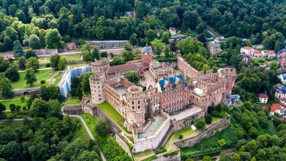 Private day trip from Frankfurt to Rhine Valley & back