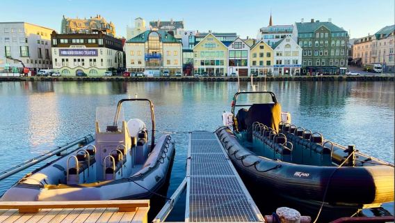 Haugesund : Safari en RIB vers les communautés insulaires
