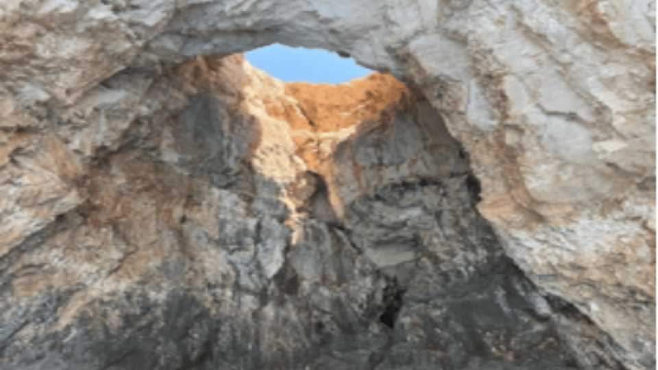 Turtle Cruise from 9 am or 12 noon or 3 pm for 3 hours