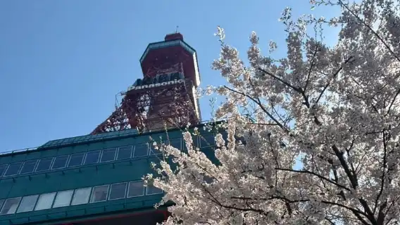 ซัปโปโรแท้ๆ: อาหารกลางวันทะเลที่ตลาดนิโจและทัวร์ประวัติศาสตร์