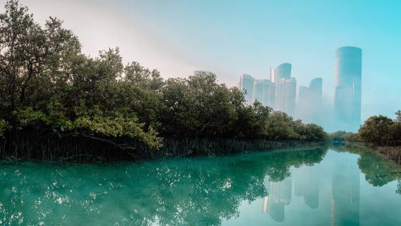 Abu Dhabi : visite guidée en kayak de 2 heures au parc central de Reem