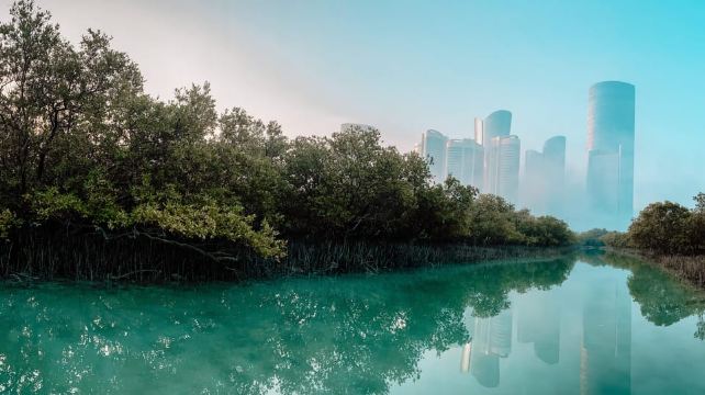 Abu Dhabi : visite guidée en kayak de 2 heures au parc central de Reem