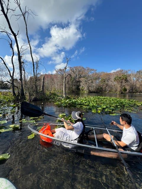 Silver Springs: Silver River Guided Kayak Tour