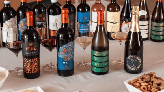 Vineyard Walk and Tasting at a Masseria Winery in Taranto