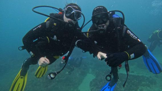 Lisboa:Try Scuba Diving in Arrábida Marine Reserve w/photos