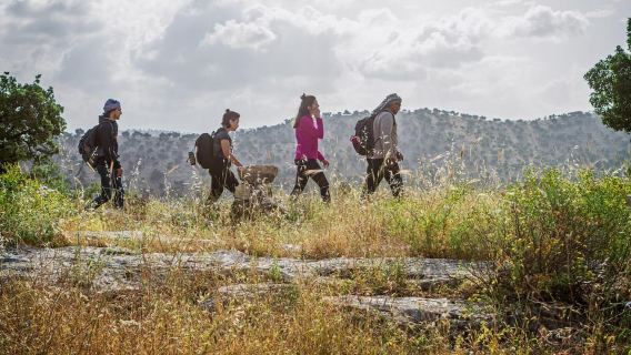 Destinazioni Baraka: escursione guidata con luce a Umm Qais