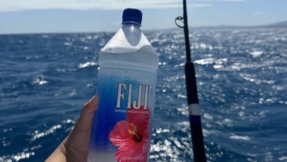 斐濟追海豚/海釣/浮潛/Sand Bank拍照丹娜繞碼頭出發