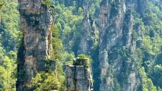 張家界國家森林公園私人包團 (含阿凡達山)