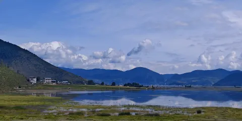 雲南迪慶納帕海+石卡雪山+獨克宗古城包車一日遊中英文服務