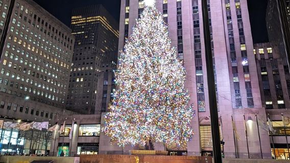 뉴욕 시티 홀리데이 라이트 투어