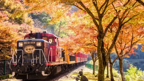 tiket kereta wisata Sagano Arashiyama Kyoto