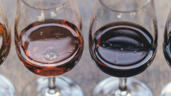 Мадрид: Экскурсия с дегустацией вина, тапас и оливкового масла