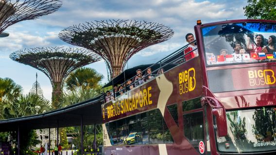 Big Bus Singapore: автобусный тур с возможностью высадки и посадки на любой остановке.