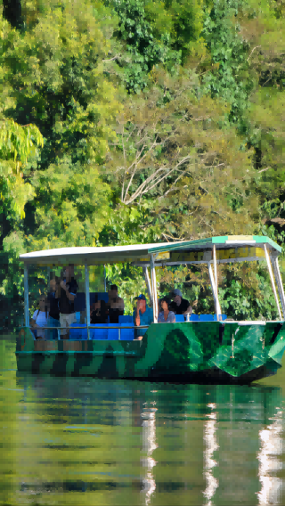 Australia Cairns Daintree Rainforest + Mossman Gorge Cultural Centre + Cape Tribulation 1-day tour with English-speaking guide and lunch included