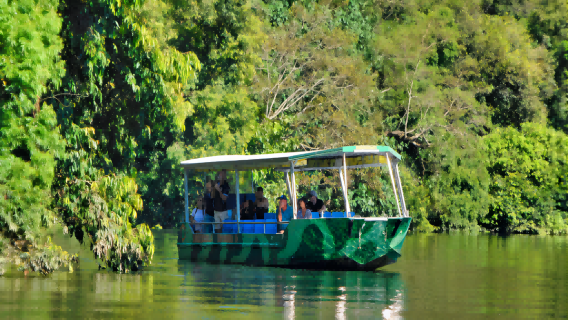 Excursión de un día a la selva tropical de Daintree, el desfiladero de Mossman y el cabo Tribulación en Cairns, Australia, con almuerzo incluido en inglés
