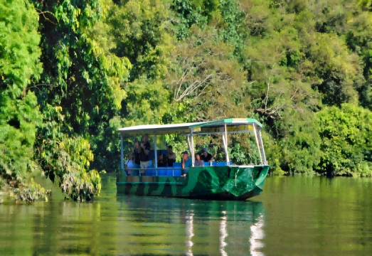 Australia Cairns Daintree Rainforest + Mossman Gorge Cultural Centre + Cape Tribulation 1-day tour with English-speaking guide and lunch included AUD 203.94