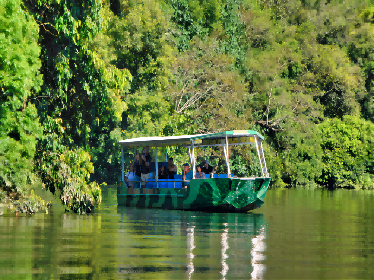 オーストラリア・ケアンズのダイントリー熱帯雨林＋モスマン・ゴージ・カルチュラル・センター＋ケープ・トリビュレーション ワンデーツアー（英語ガイド付き・昼食込み）