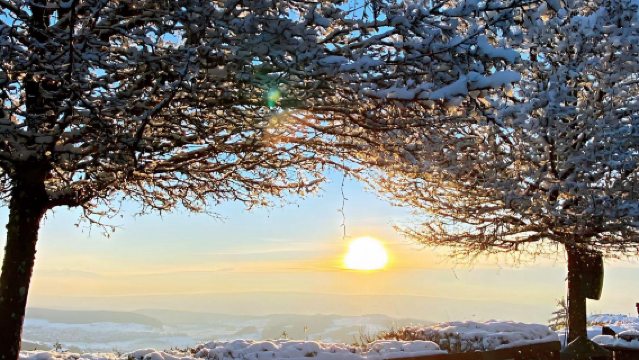 蘇黎世包車一日遊:宗教藝術+阿爾卑斯山景+中世紀老城三重體驗