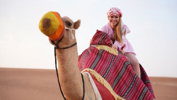 Camel Trekking & Morning Safari with Sand Boarding Falcon Photos