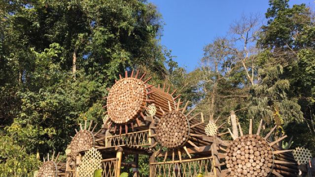 Melancong di Yunnan|Perkampungan Jinuo & Trekking Hutan Hujan Gunung Jinuo Xishuangbanna & Taman Hidupan Liar