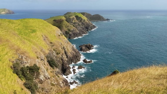 紐西蘭奧克蘭-霍比特村-陶朗加-可定制【中文專車-愜意舒適】